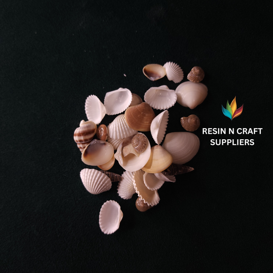 Miniature Mixed Beach Shell 40 GRMS (Design 8)