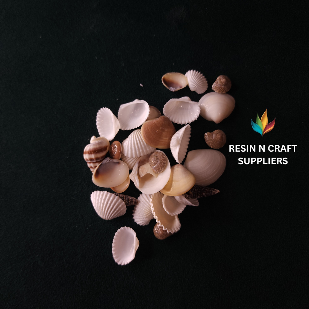 Miniature Mixed Beach Shell 40 GRMS (Design 8) – RESIN N CRAFT SUPPLIERS