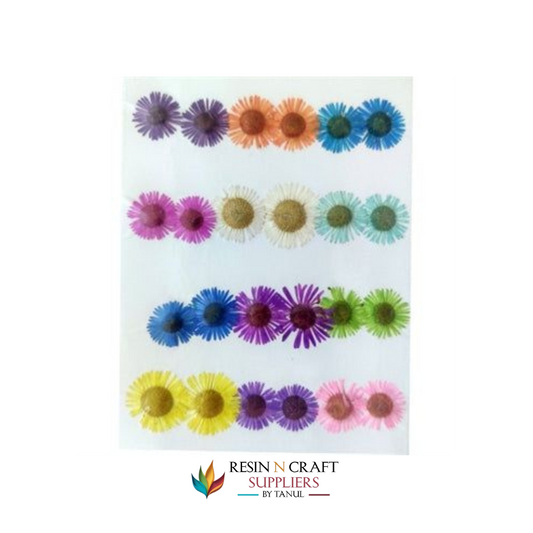 24 In 1 Multy Pressed Dry Small Flowers
