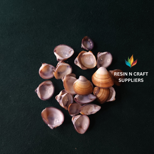 Two-Tone Sunset Clam Shell Stone 40 GRMS (Design 18)