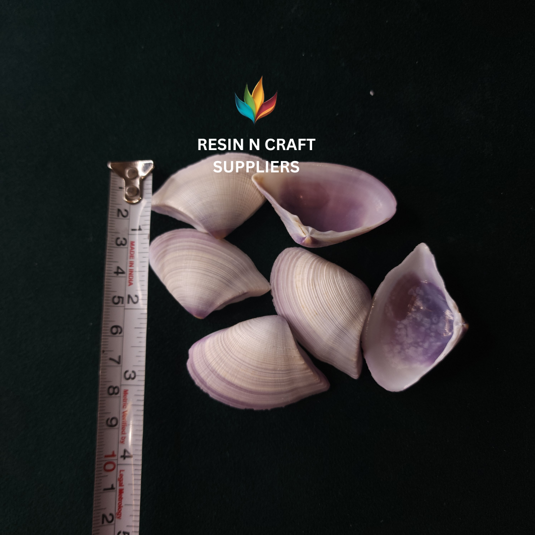 Purple-Hued Clam Stone Shells 40 GRMS (Design 15)