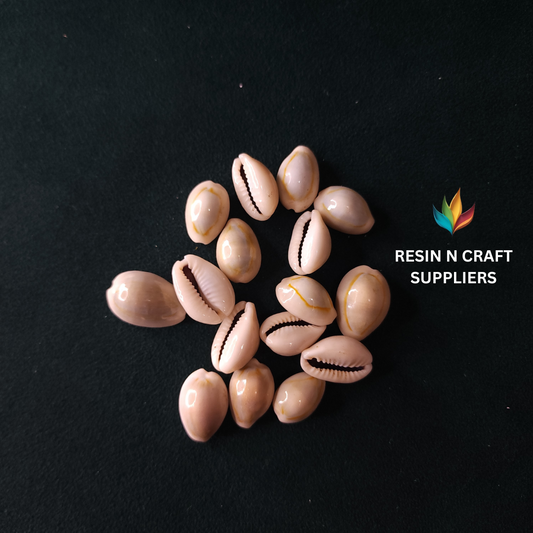 Polished Mini Cowrie Shells Stone 10 GRMS (Design 31) (Creamy White)