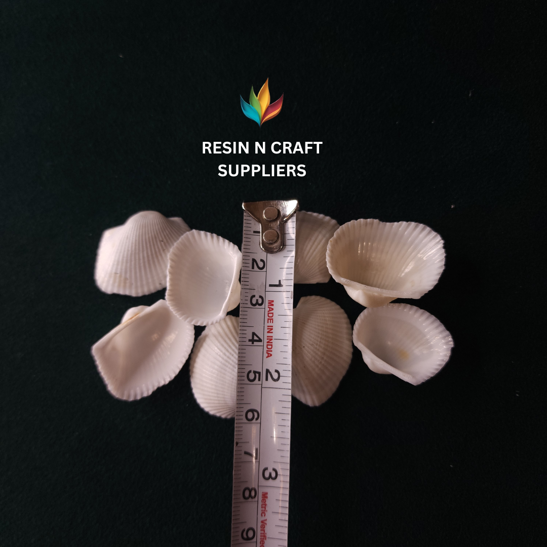 Pure White Fluted Clam Stone Shell 40 GRMS (Design 5)