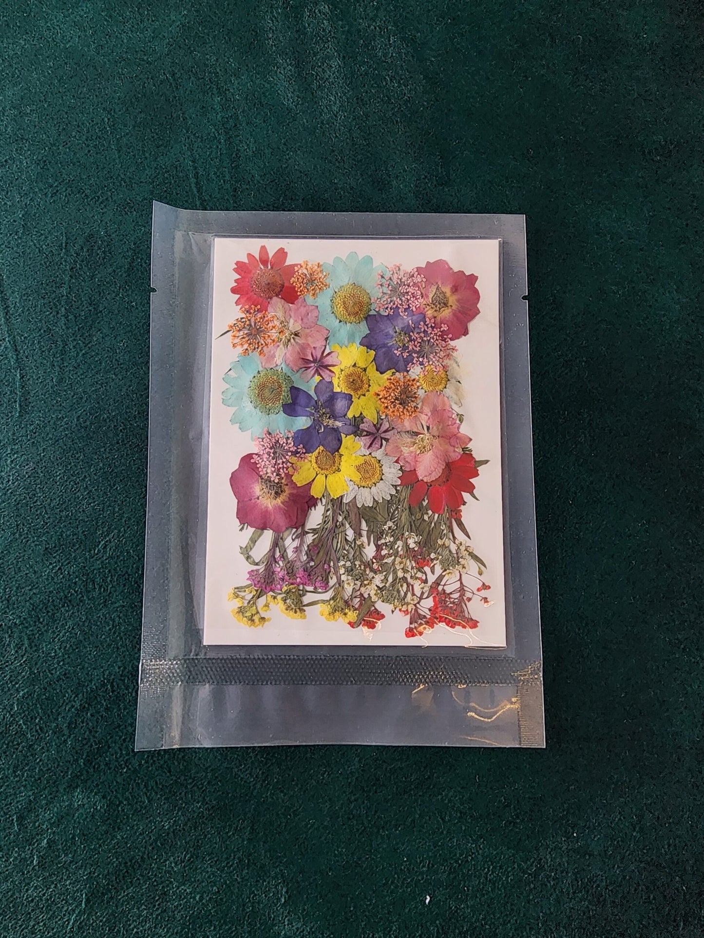 Pressed Flowers PS003