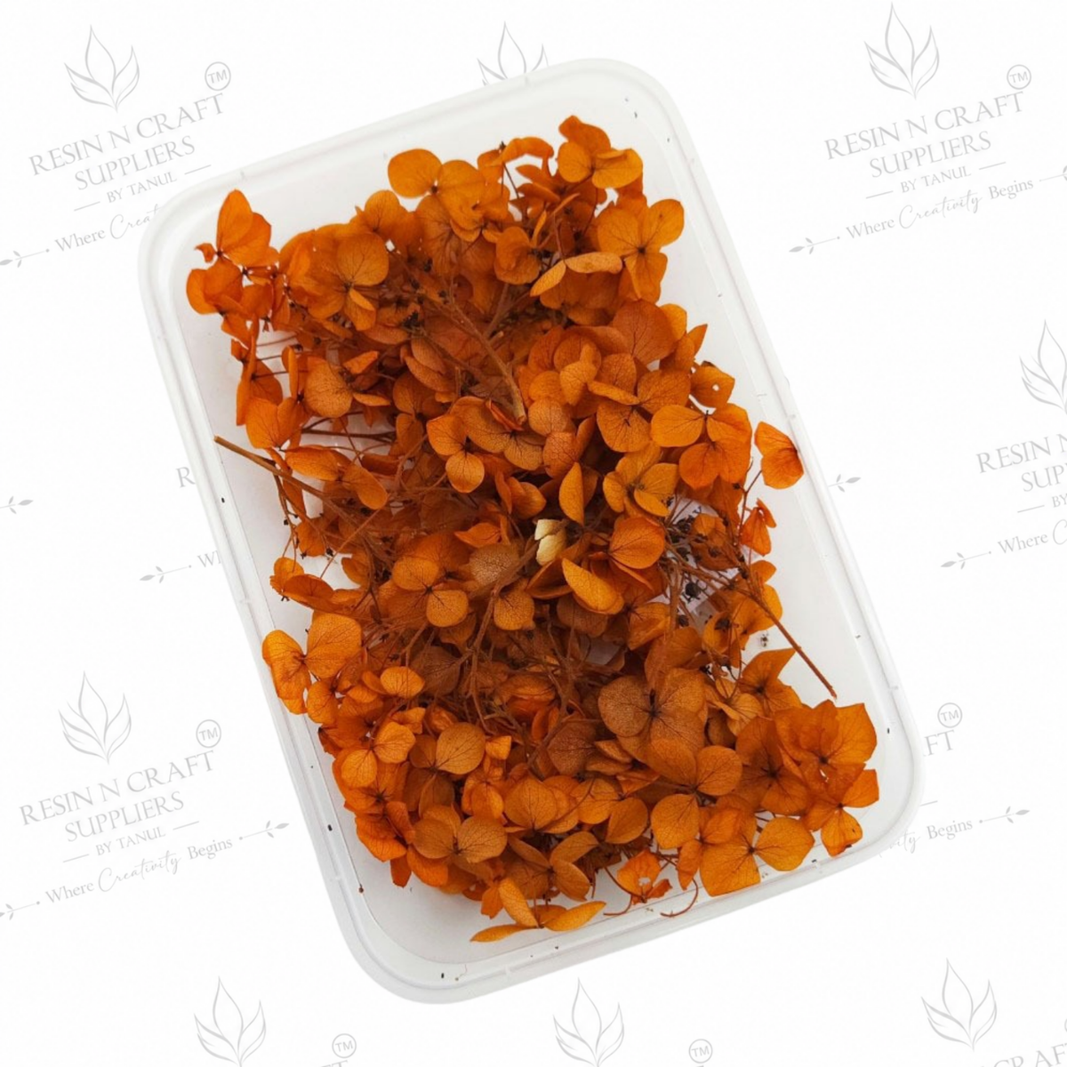 Dark Orange Hydrangea (Hydra) Dried Flowers for Resin Art & Jewellery Making – DMG5013RF