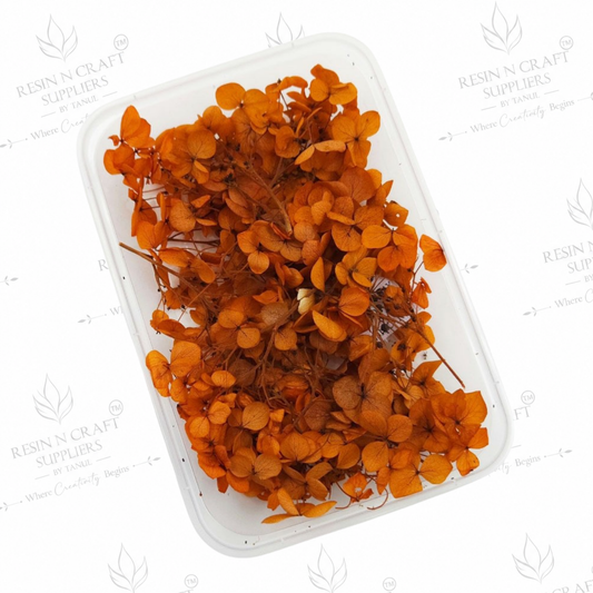 Dark Orange Hydrangea (Hydra) Dried Flowers for Resin Art & Jewellery Making – DMG5013RF
