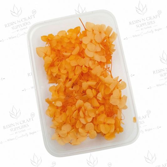 Orange Hydrangea (Hydra) Dried Flowers for Resin Art & Jewellery Making – DMG5013LF