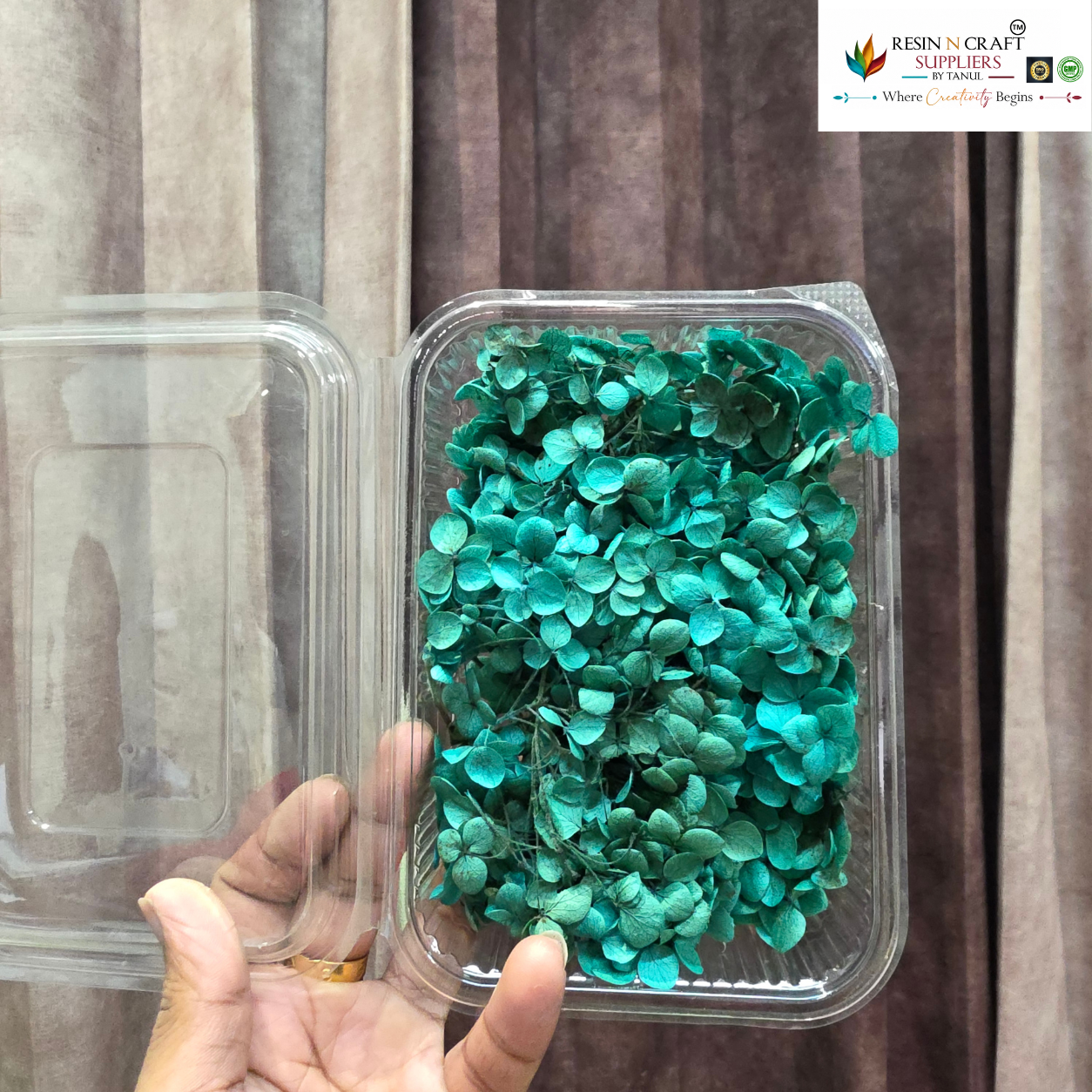 Hydrangea (HYDRA) Dry Flower Box – Teal Green