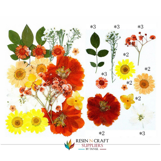 25 In 1 Pressed Flowers Fl067