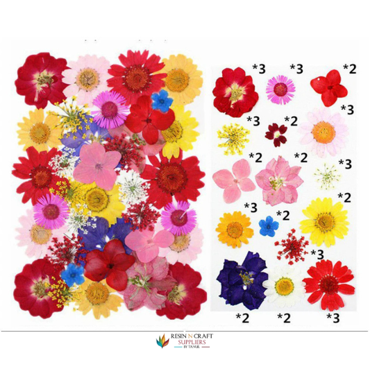 40 In 1 Pressed Flowers Fl149