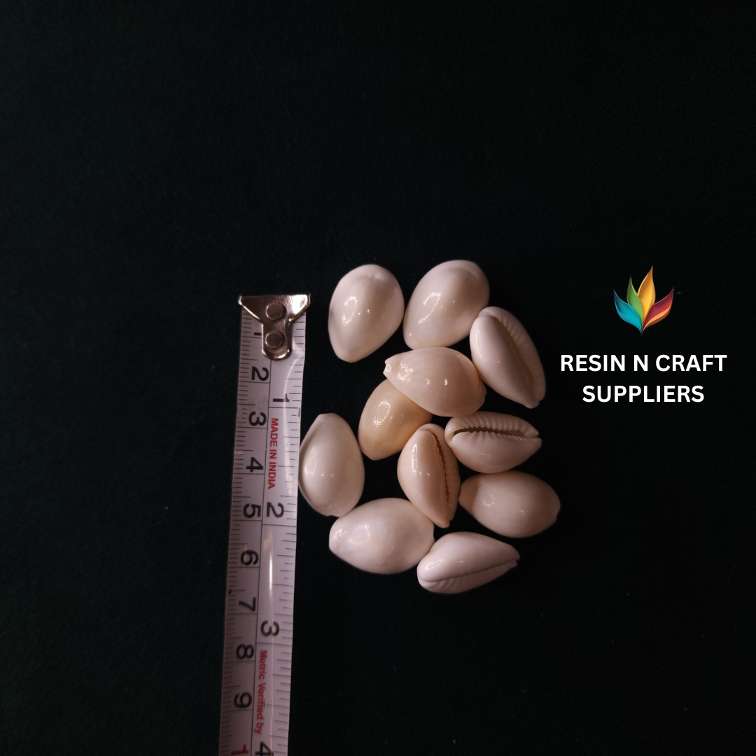 Polished Mini Cowrie Shells Stone 10 GRMS (Design 32) (pure White)