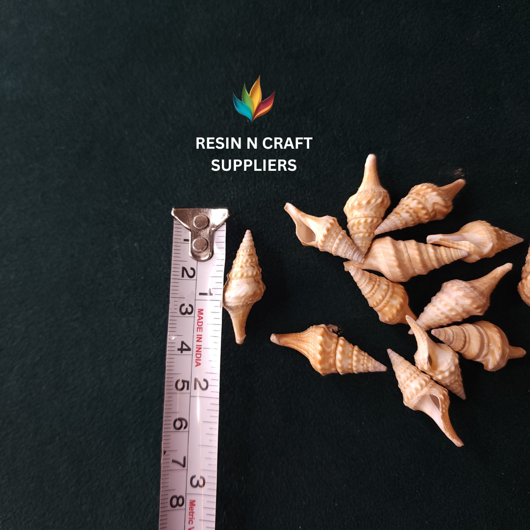 Mini Spire Sea Shells  Stone 40 GRMS (Design 19)