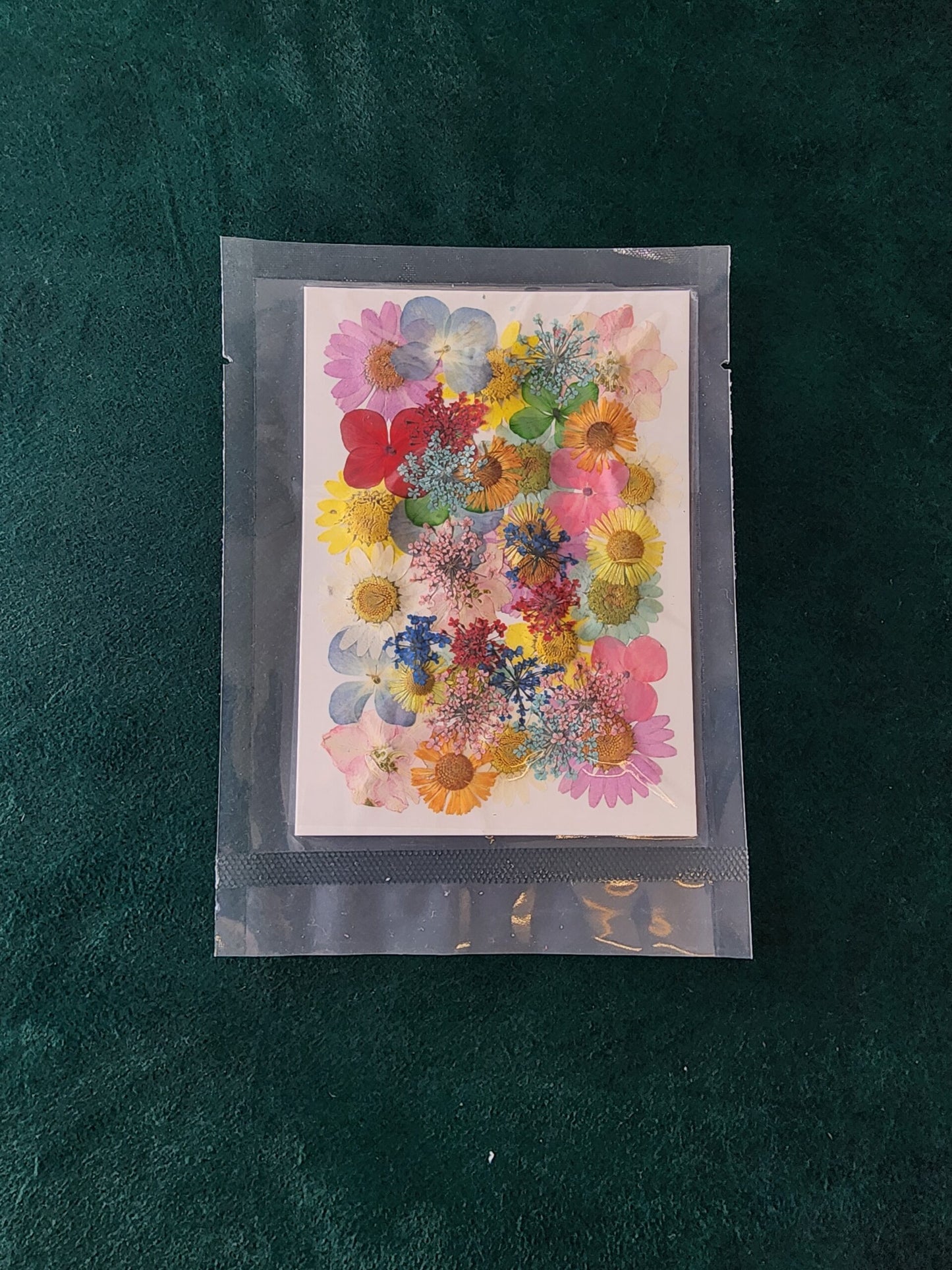 Pressed Flowers PS004