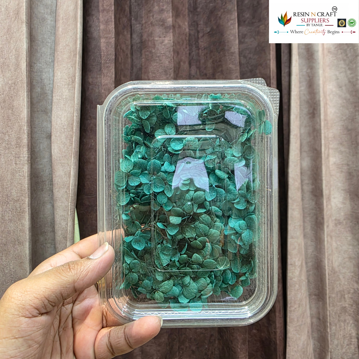 Hydrangea (HYDRA) Dry Flower Box – Teal Green