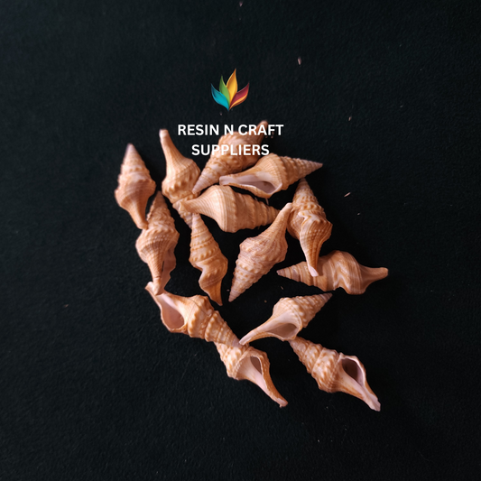 Mini Spire Sea Shells - Natural Coastal Embellishments Stone Shells 40 GRMS