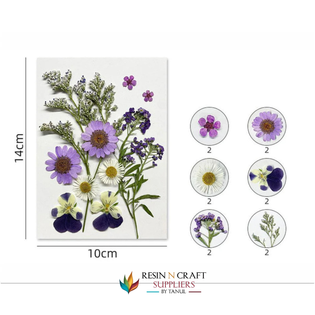 12 In 1 Pressed Flowers Fl171
