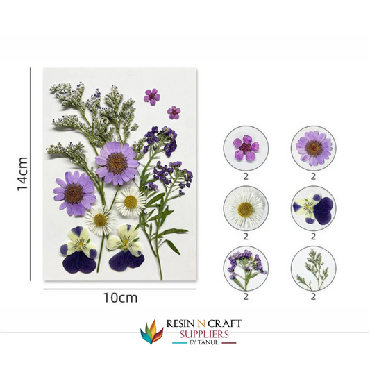 12 In 1 Pressed Flowers Fl171