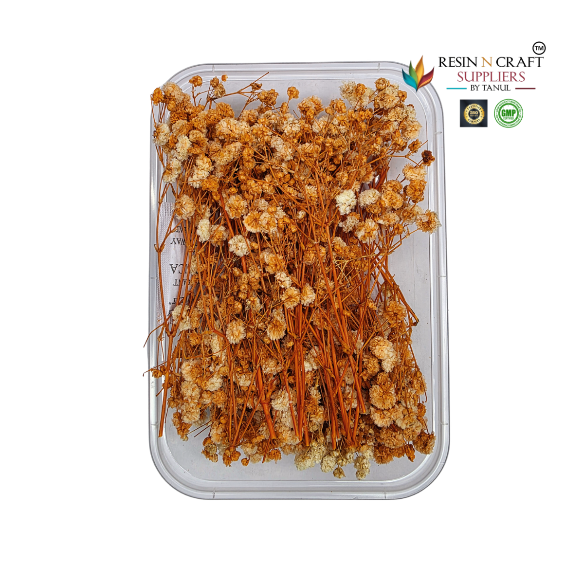 Gypsy Flower Box Orange Color