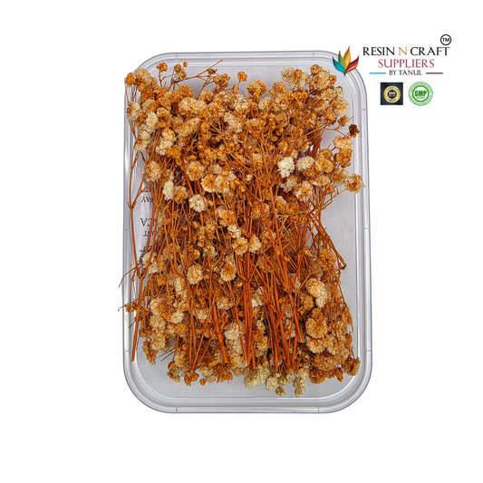 Gypsy Flower Box Orange Color