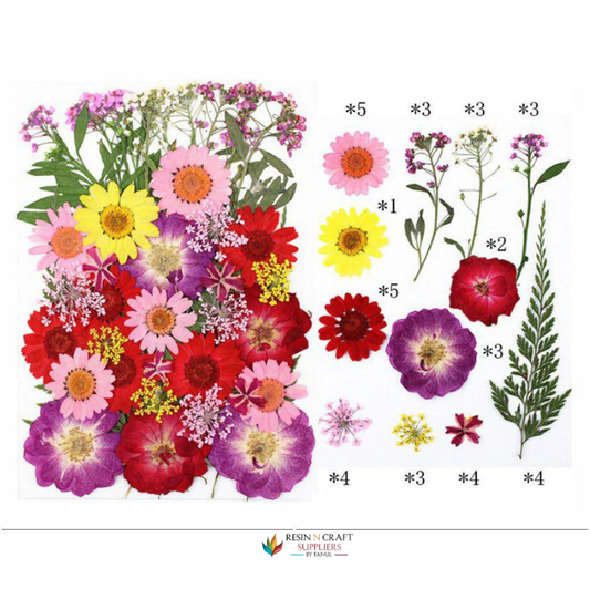 40 In 1 Pressed Flowers Fl145