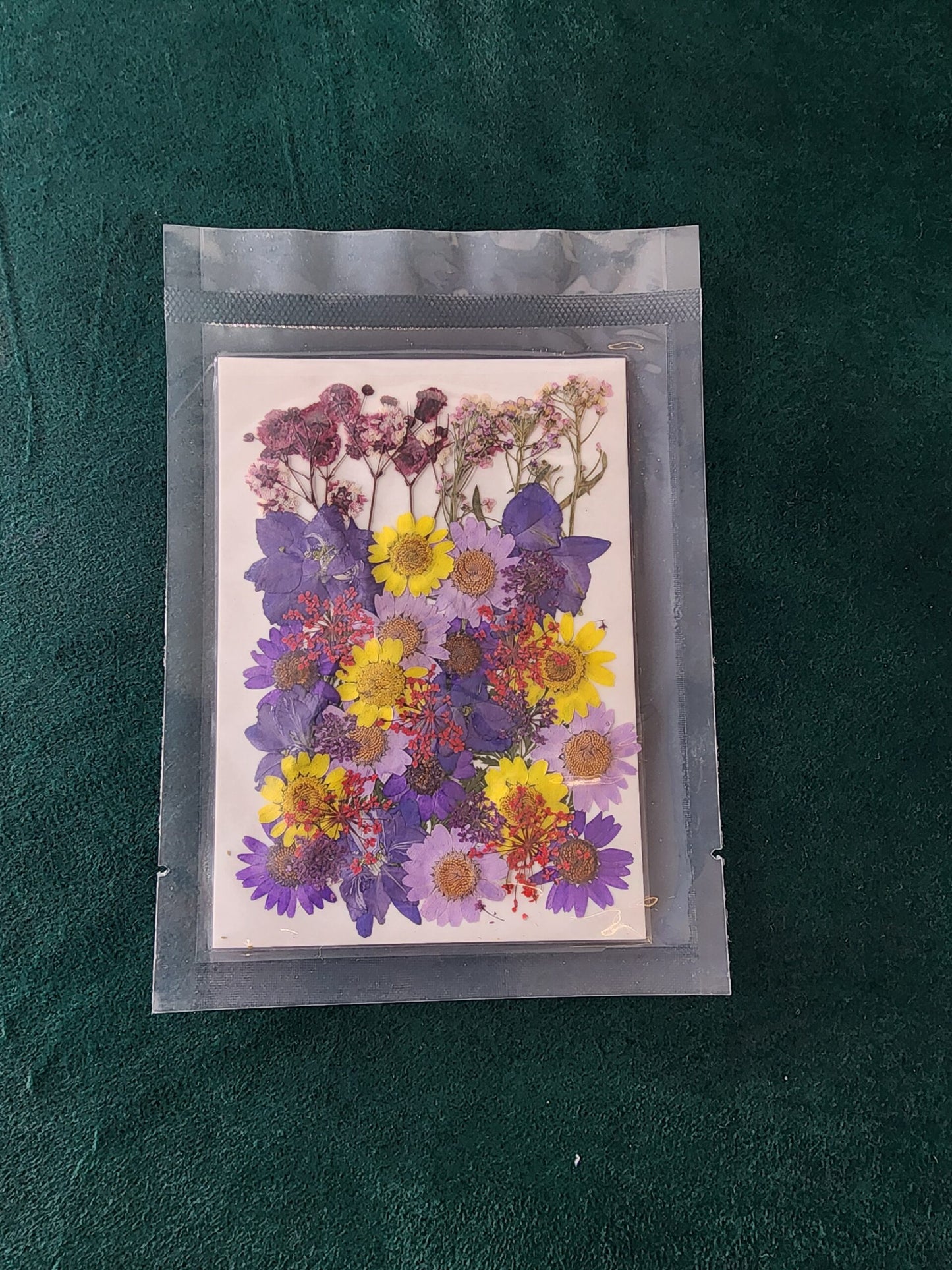 Pressed Flowers PS005