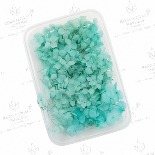 Turquoise Blue Hydrangea (Hydra) Dried Flowers for Resin Art & Jewellery Making – DMG5013PF
