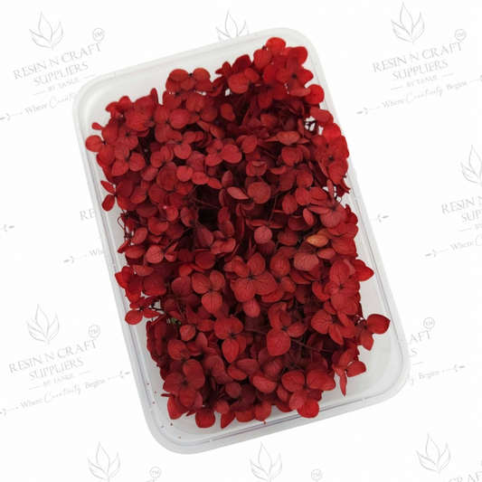 Red Hydrangea (Hydra) Dried Flowers for Resin Art & Jewellery Making – DMG5013VF