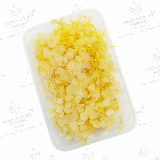 Yellow Hydrangea (Hydra) Dried Flowers for Resin Art & Jewellery Making – DMG5013NF