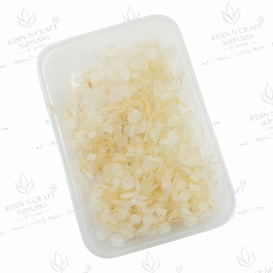 White Hydrangea (Hydra) Dried Flowers for Resin Art & Jewellery Making – DMG5013BF