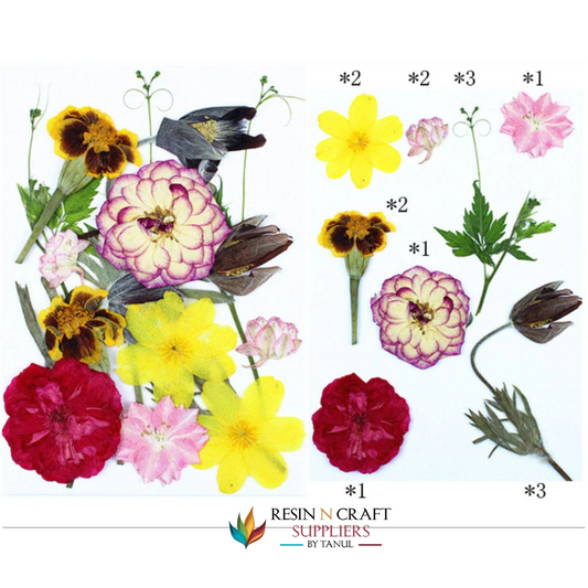 15 In 1 Pressed Flowers Fl188