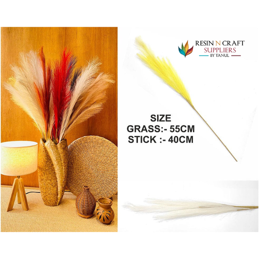Off White Plain Pampas Grass For Hup Stand