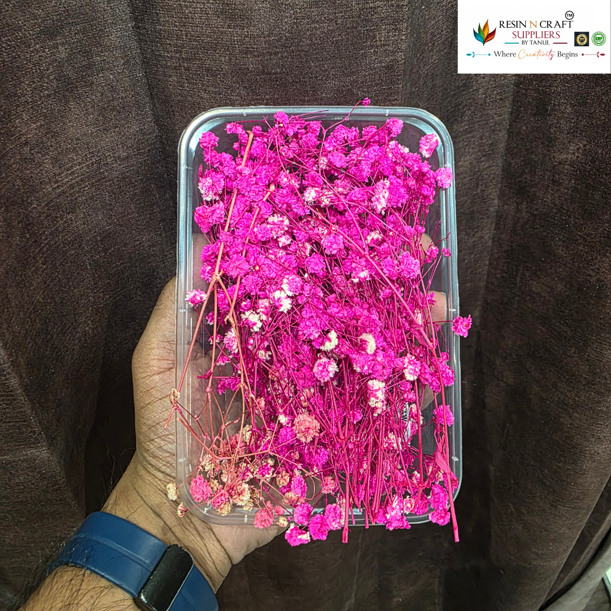 Gypsy Flower Box Purple (Rani Pink Shade) Color