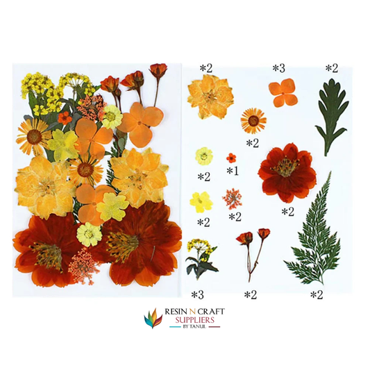 25 In 1 Pressed Flowers FL014