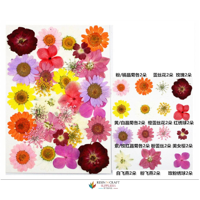 33 In 1 Pressed Flowers Fl098
