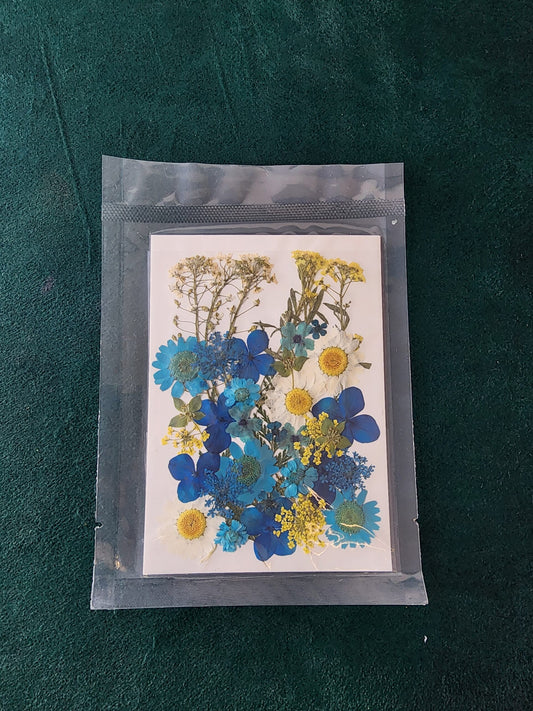 Pressed Flowers PS006