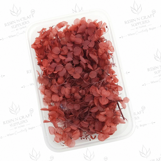 Red Hydrangea (Hydra) Dried Flowers for Resin Art & Jewellery Making – DMG5013KF