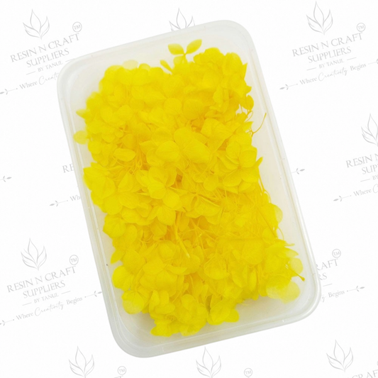 Yellow Hydrangea (Hydra) Dried Flowers for Resin Art & Jewellery Making – DMG5013MF