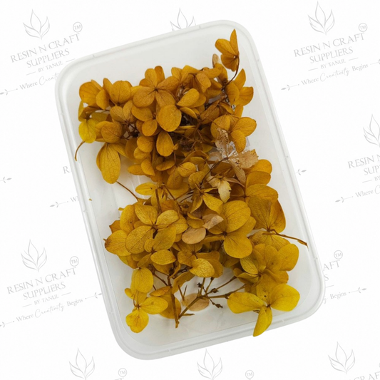 Dried Hydrangea ((Hydra) Flowers – Mustard Yellow | DMG5013UF | Flowers for Resin Art & DIY Crafts