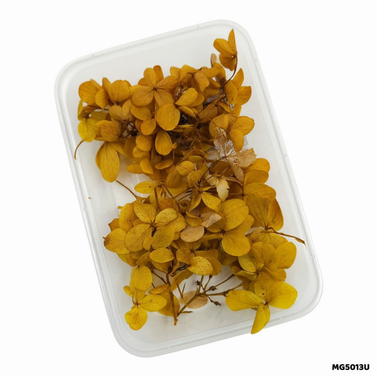 Dried Hydrangea ((Hydra) Flowers – Mustard Yellow | DMG5013UF | Flowers for Resin Art & DIY Crafts