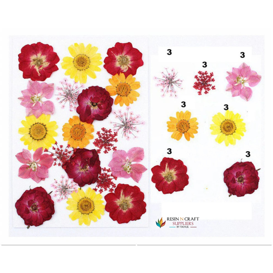 Premium Pressed Flower Sheet #046 - Red, Yellow & Pink Mix