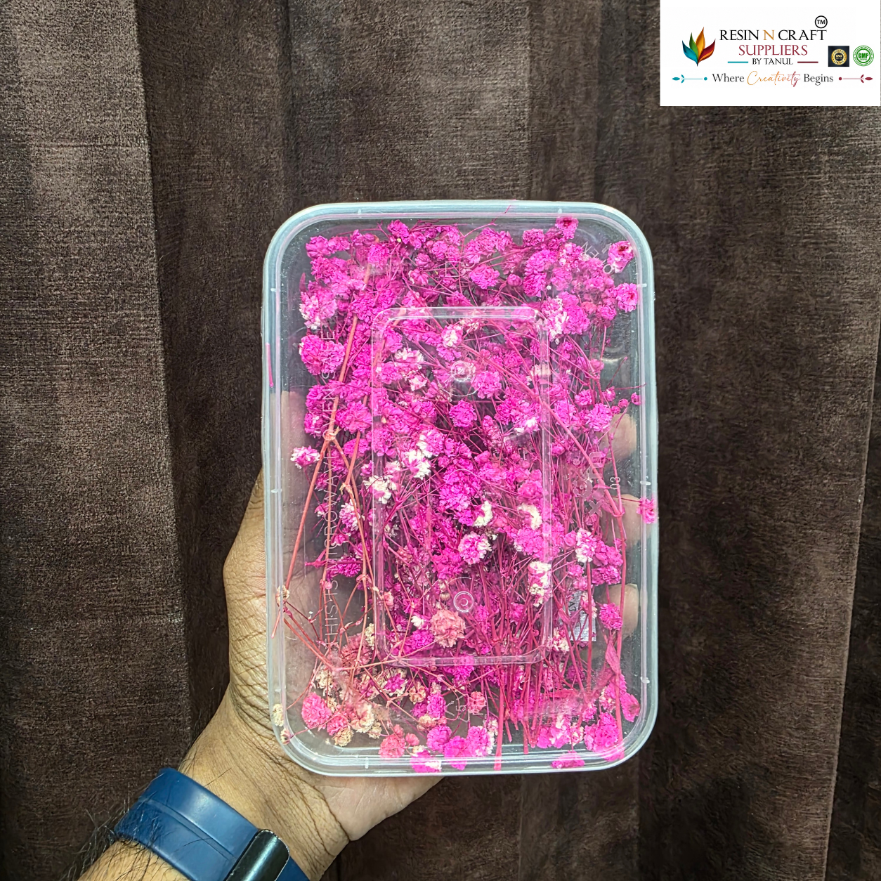 Gypsy Flower Box Purple (Rani Pink Shade) Color