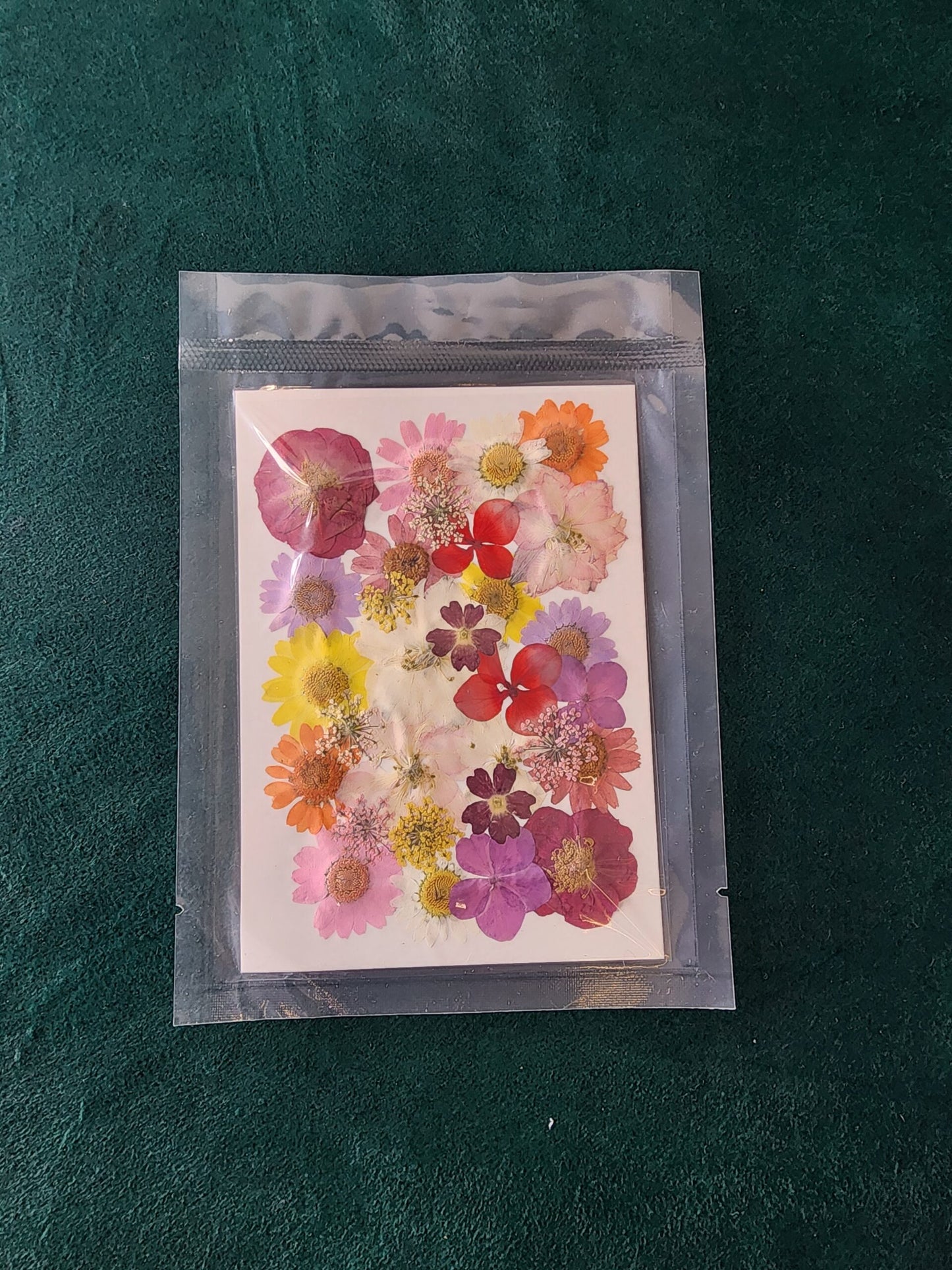 Pressed Flowers PS007