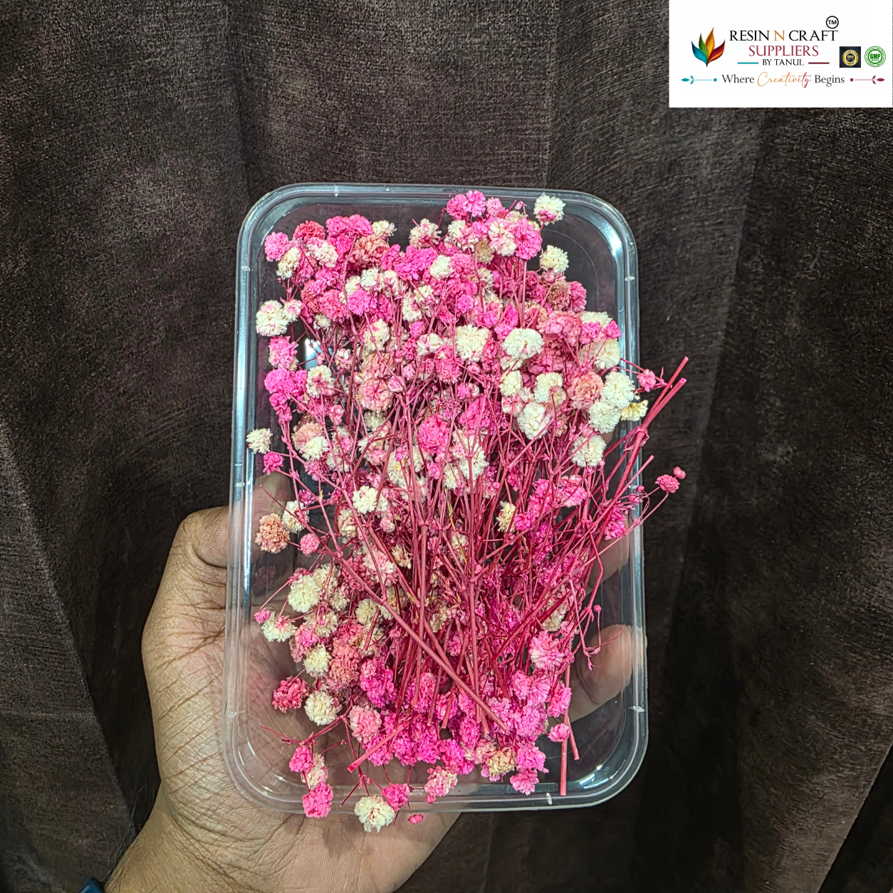 Gypsy Flower Box Purple (White Pink Shade)  Color