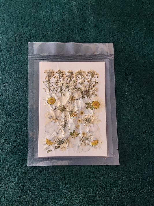 Pressed Flowers PS008