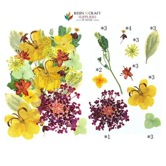 25 In 1 Pressed Flowers FL010
