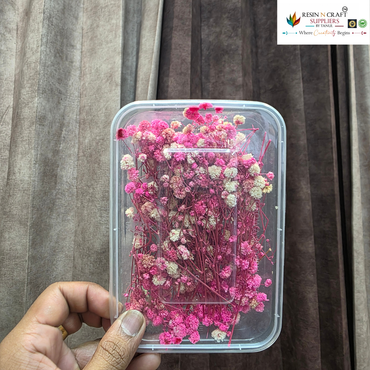 Gypsy Flower Box Purple (White Pink Shade)  Color