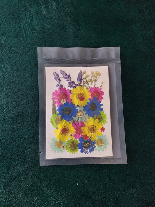 Pressed Flowers PS009