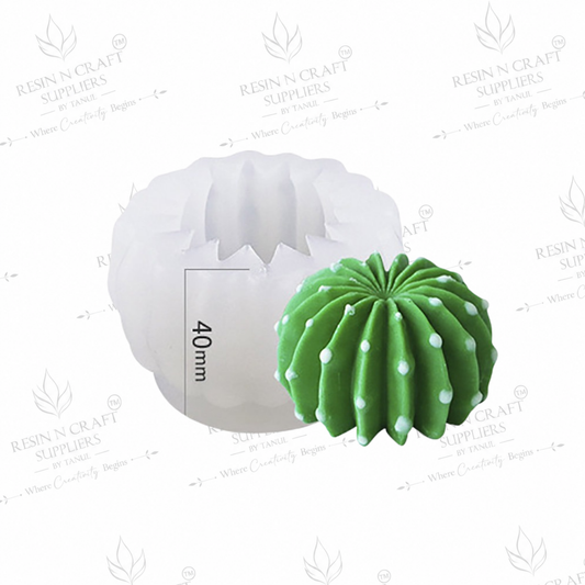 3D Cactus Silicone Resin Mould ZW187 | Mini Cactus Shape Mould