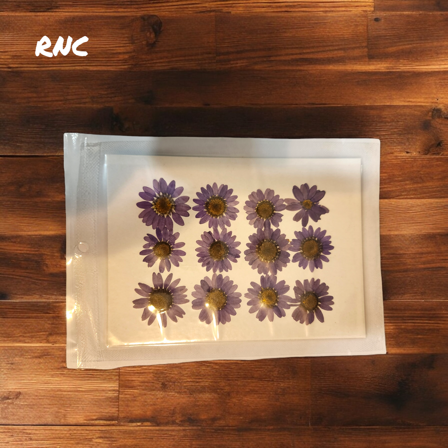 Pressed Dried Daisy Flower Sheet (Dark Purple)