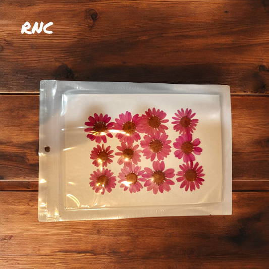 Pressed Dried Daisy Flower Sheet (Pink)